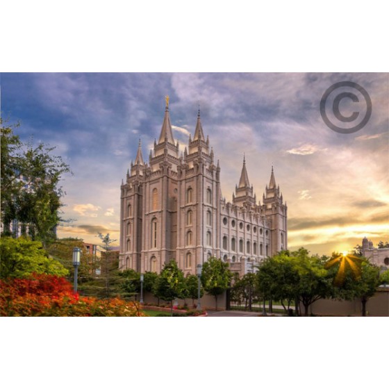 Salt Lake Temple Recommend Holder